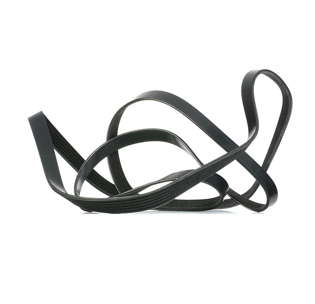 Kit Cinghie Poly-V